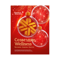 Созвездие Wellness. Праздник. Здоровье. Красота - Каталог Декабрь 2023 сибирское здоровье