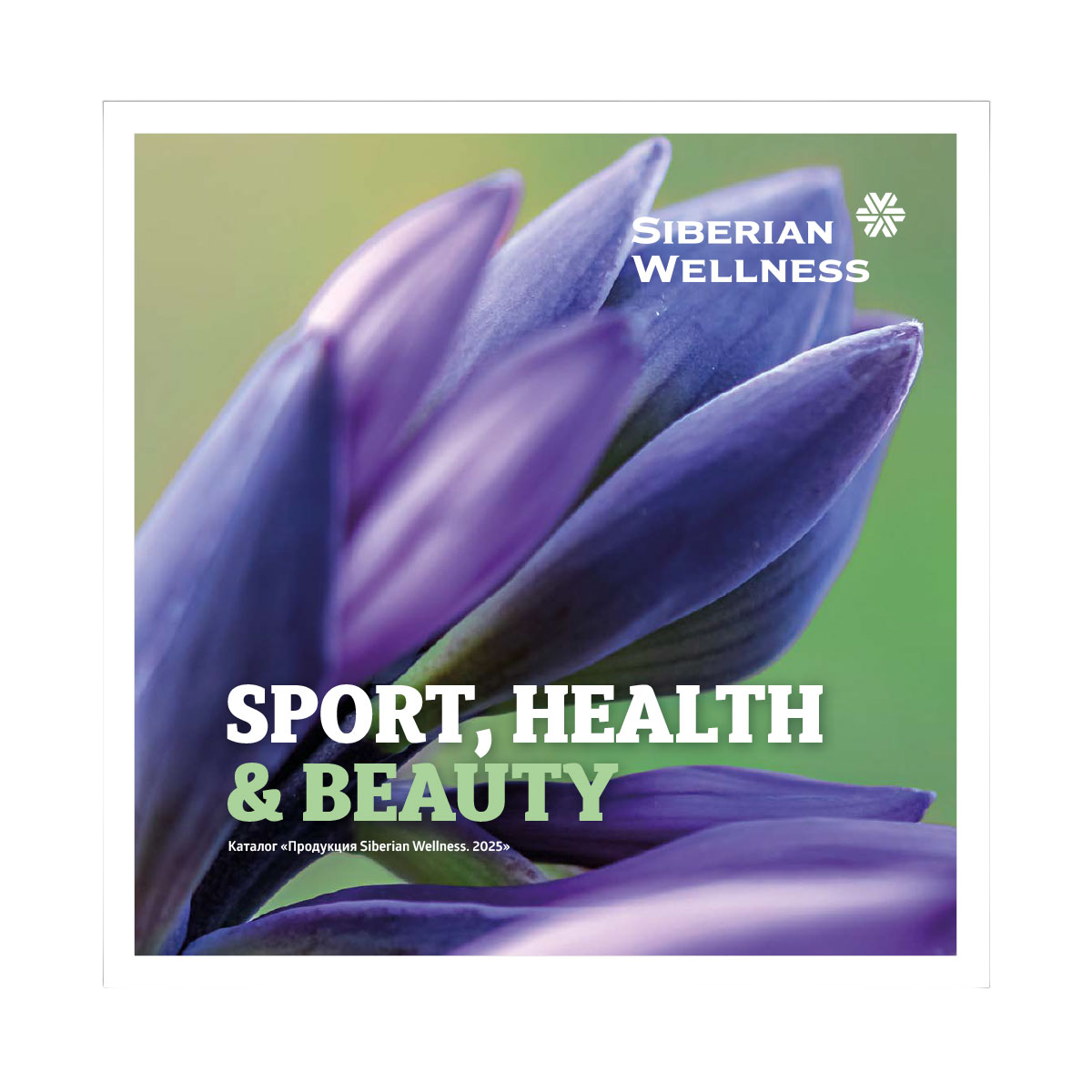 Каталог SPORT, HEALTH & BEAUTY 2025