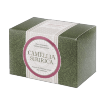 Чайный напиток с саган-дайлей - Camellia sibirica