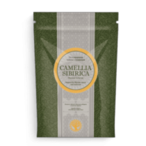 Чай с золотым корнем - Camellia sibirica