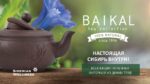 Baikal Tea Collection: НАСТОЯЩАЯ СИБИРЬ ВНУТРИ!