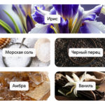 Dynamique (Динамика), духи-концентрат сибирское здоровье siberian wellness
