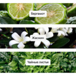 6 Sextum, духи-концентрат, 1,5 мл - Aromapolis Olfactive Studio