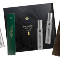 Набор Aroma Box «Стиль, достойный победителя» ❄ Siberian Wellness / Сибирское Здоровье