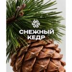 Снежный кедр, ароматическая свеча из натурального воска