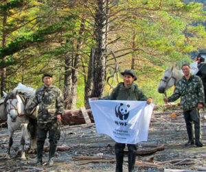 «Мир Вокруг Тебя» и WWF России: девять лет мы помогаем природе!
        
        
            21 апреля 2022