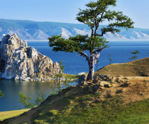 Байкал, живи! О поддержке проектов по защите и изучению байкальских эндемиков
        
    
    
        19 января 2023