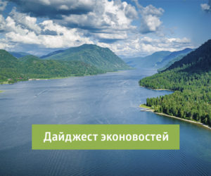 Дайджест публикаций: эконовости Компании, которые нельзя пропустить