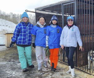 Сотрудники Siberian Wellness провели волонтерскую акцию в приюте для ездовых собак