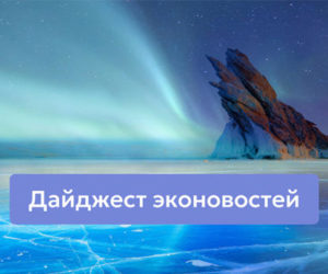 Экодайджест: СМИ об экологических проектах Siberian Wellness