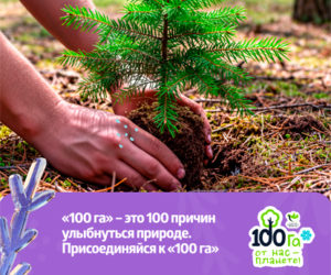 Осенний старт «100 га»: планета, дыши!