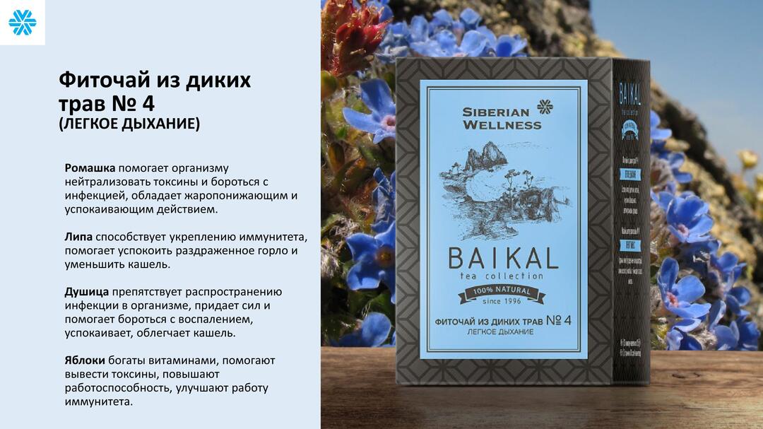 фиточай 4 легкое дыхание сибирское здоровье siberian wellness