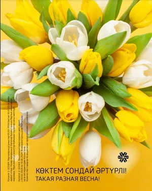 сибирское здоровье каталог апрель 2024 казахстан