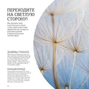 siberian wellness каталог