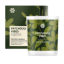 Patchouli Vibes (Пачули и давана), ароматическая свеча из натурального воска - Aromapolis Olfactive Studio ❄ Siberian Wellness / Сибирское Здоровье